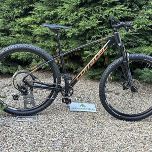 absobike - absolutely dedicated to bike