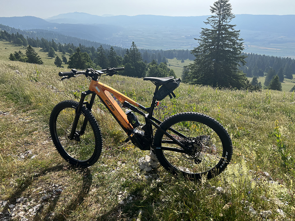 absobike - absolutely dedicated to bike